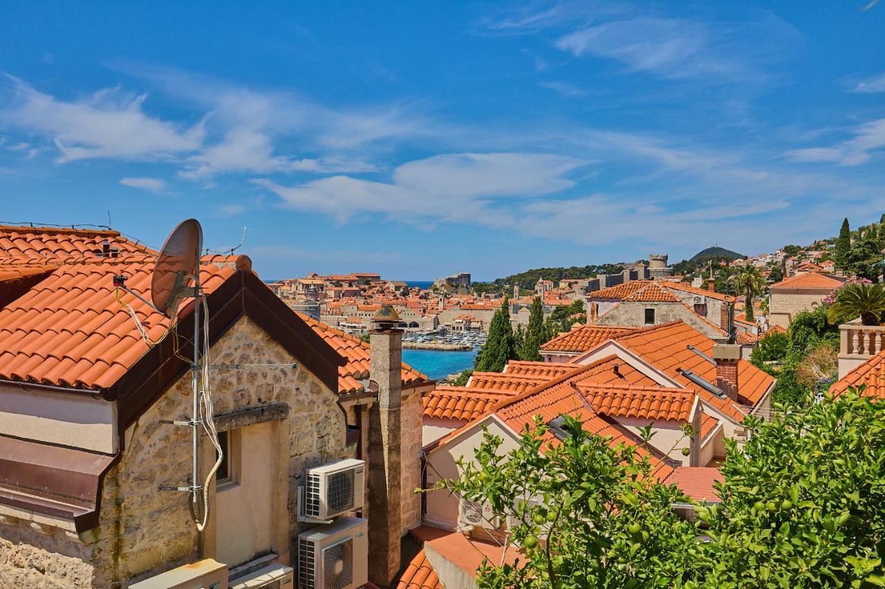 Hedera Estate, Hedera A39 Dubrovnik